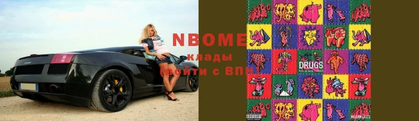 дурь Инсар