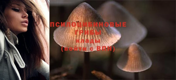 прущие крисы Иннополис