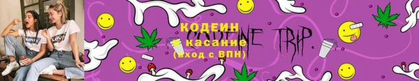 дурь Инсар
