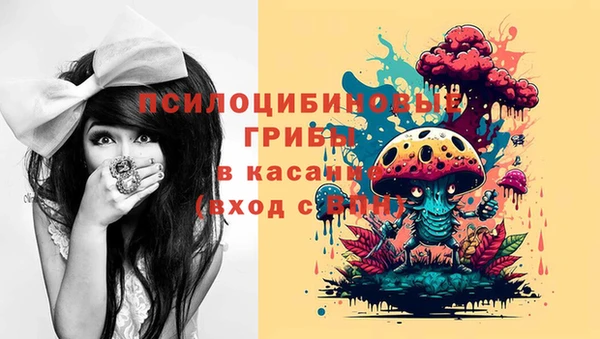 дурь Инсар