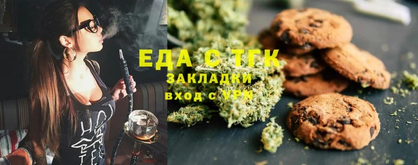 дурь Инсар