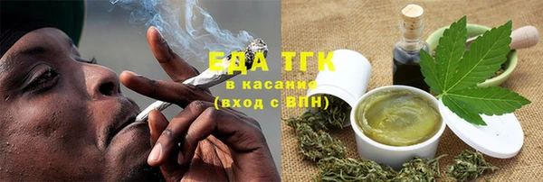 дурь Инсар