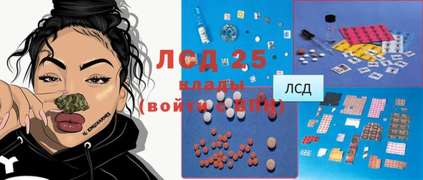 дурь Инсар