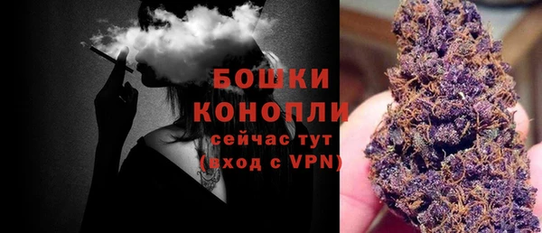 дурь Инсар