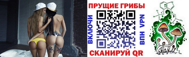 Купить закладки  Дзержинский  Галлюциногенные грибы мухоморы 